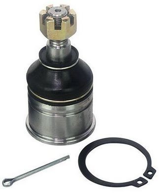 DENCKERMANN Testina braccio oscillante D110021 D110021 Testina braccio oscillante FORD FOCUS DENCKERMANN costo