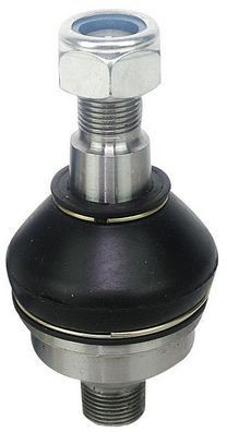 DENCKERMANN Testina braccio oscillante D110089 D110089 Testina braccio oscillante HYUNDAI DENCKERMANN costo