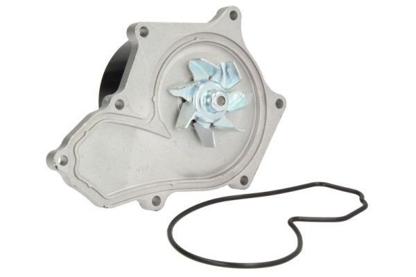 THERMOTEC Water pump D14047TT THERMOTEC D14047TT Accord II Hatchback water pump price