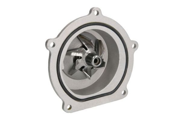 Pompe à eau THERMOTEC D1K019TT THERMOTEC D1K019TT Pompe du liquide de refroidissement LAND ROVER DISCOVERY 2003