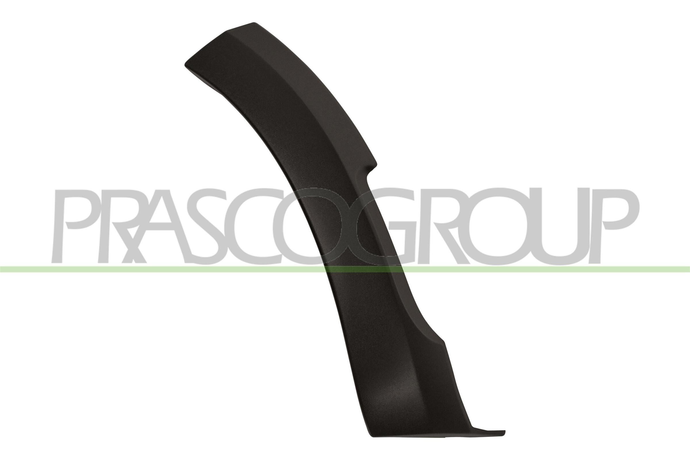 PRASCO Trim / Protective Strip, mudguard DA2261571 PRASCO DA2261571 Dacia Sandero Mk2 door molding replacement