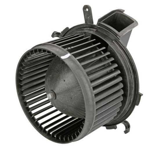 THERMOTEC Salongipuhur DDF001TT DDF001TT Salongi ventilaator CITROËN C4 THERMOTEC