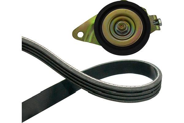 KAVO PARTS Kiilrihmakomplekt DKM-2002 DKM-2002 KAVO PARTS Kiilrihmad Dacia odav