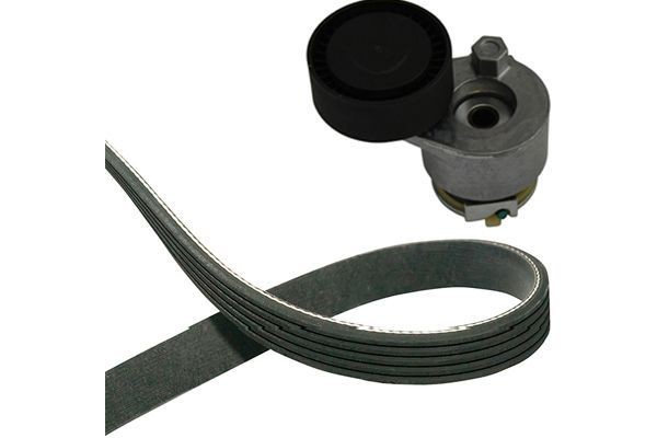 KAVO PARTS V-riemenset DKM-6501 DKM-6501 V-riem KAVO PARTS CITROЁN C5