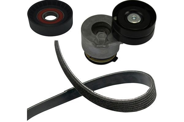 KAVO PARTS Ķīļsiksnas komplekts DKM-6503 Ķīļsiksnas KAVO PARTS JAGUAR DKM-6503