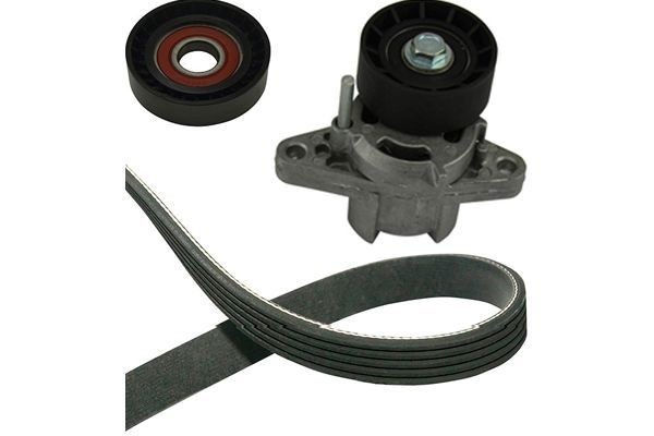 KAVO PARTS Kileremsett DKM-6505 DKM-6505 Kilerem KAVO PARTS FORD C-MAX