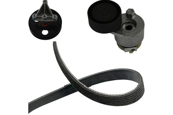 KAVO PARTS Kilremsats DKM-6509 DACIA kilrem KAVO PARTS DKM-6509