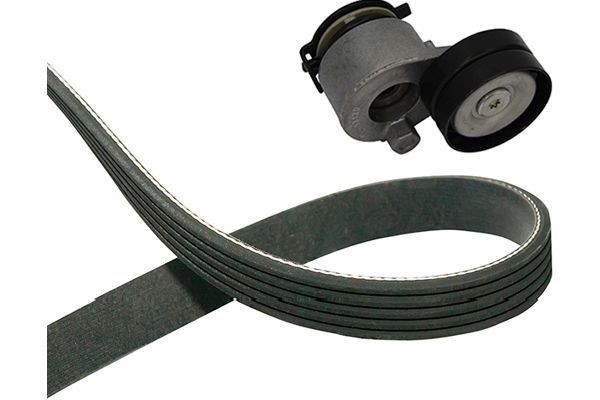 KAVO PARTS Kileremsett DKM-6511 Kilerem KAVO PARTS Ford C-MAX DKM-6511