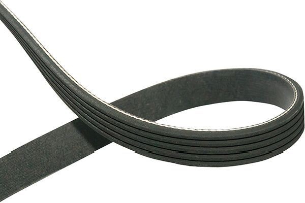 KAVO PARTS Ιμάντας poly-V DMV-1031 Ιμάντας poly-V KAVO PARTS MUSTANG DMV-1031 φθηνά