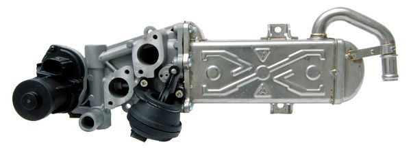 LIZARTE EGR valve EGR027 EGR027 LIZARTE FORD egr module