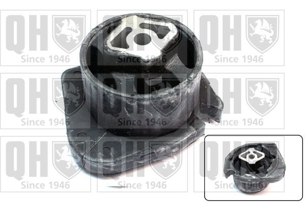 QUINTON HAZELL Ulożenie automatickej prevodovky EM4657 QUINTON HAZELL EM4657 Silentblok prevodovky BMW E53 za nízku cenu