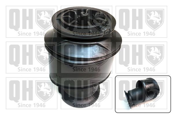 QUINTON HAZELL Air Spring, suspension EMR4938 QUINTON HAZELL EMR4938 genuine 2CV Saloon boot, air suspension price