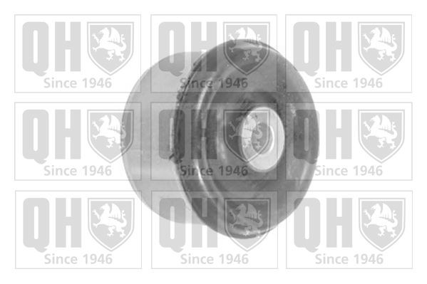 QUINTON HAZELL Suspensão, braço oscilante EMS8424 Casquilhos suspensão QUINTON HAZELL SKODA EMS8424