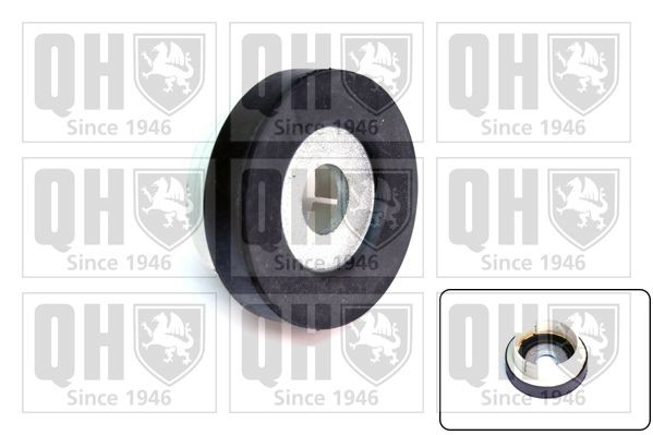QUINTON HAZELL Achteras rubber EMS8601 Achteras rubber QUINTON HAZELL PEUGEOT EMS8601