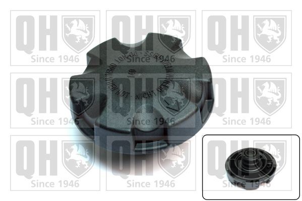 QUINTON HAZELL Lock till expansionskärl FC529 QUINTON HAZELL FC529 Lock till expansionskärl BMW F36 original
