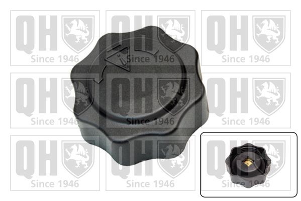 QUINTON HAZELL Lock till expansionskärl FC536 Byta Lock till expansionskärl MG MG HS kostnad QUINTON HAZELL FC536