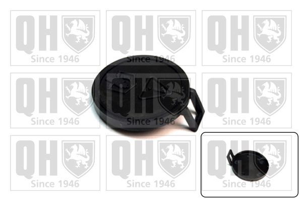 QUINTON HAZELL Tampa de fecho, recipiente de líquido de refrigeração FC546 Tampa de fecho recipiente de líquido de refrigeração QUINTON HAZELL COUPE FC546 baratos
