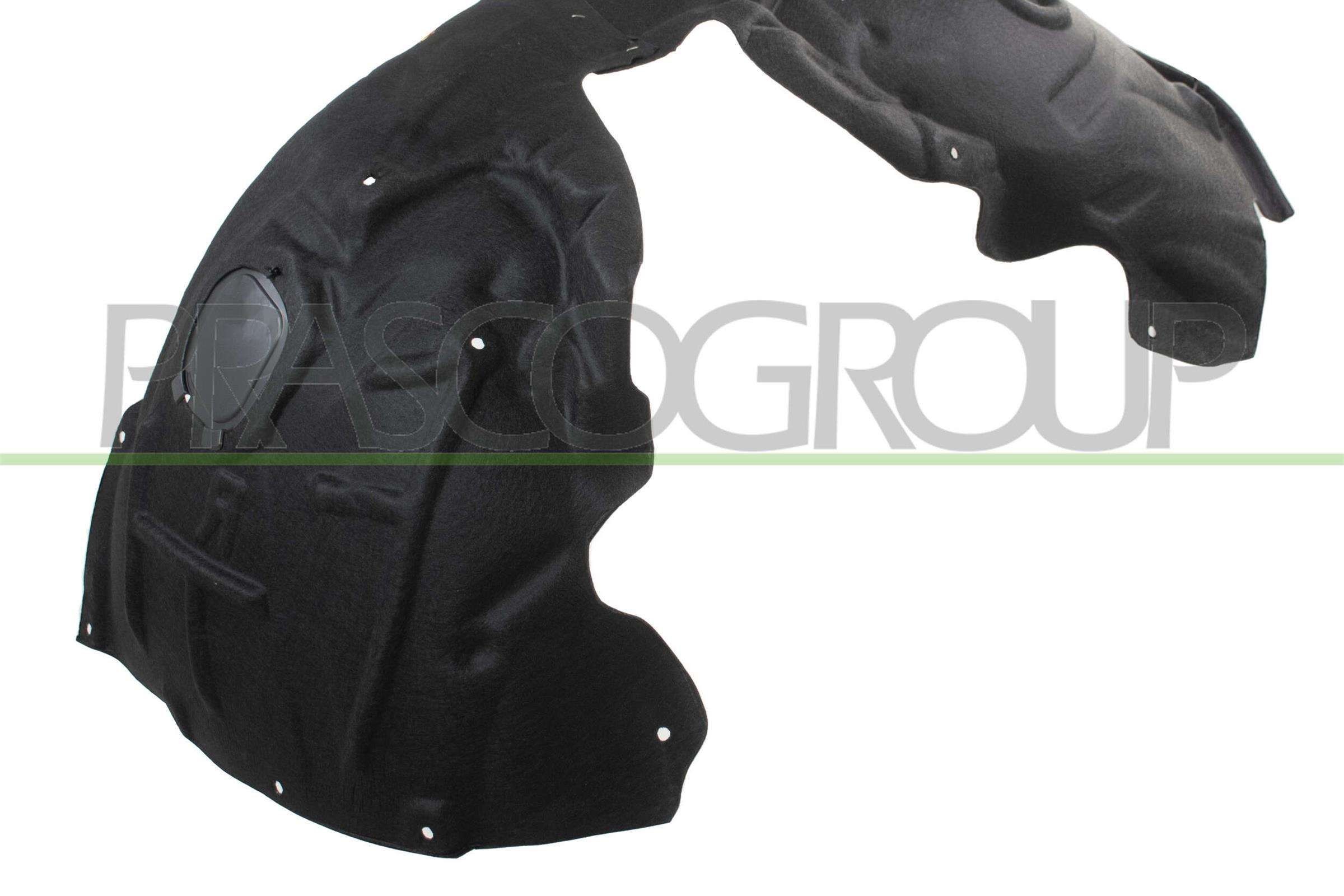 PRASCO Painel lateral FD0560581 Painel lateral FORD PRASCO FD0560581