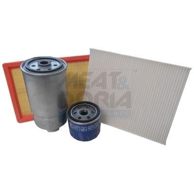MEAT & DORIA Filter-komplekt FKFIA033 MEAT & DORIA FKFIA033 Filter-komplekt Renault Clio 3 Van hind