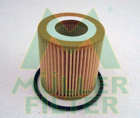 MULLER FILTER Ölfilter FOP282 FOP282 Motorölfilter FORD TOURNEO CUSTOM MULLER FILTER kaufen