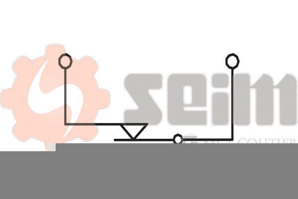 SEIM Backljuskontakt FR55 FR55 SEIM backljuskontakt Fiat DUCATO