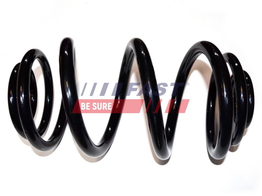 FAST Fahrwerksfeder FT12250 FT12250 FAST Feder Preis