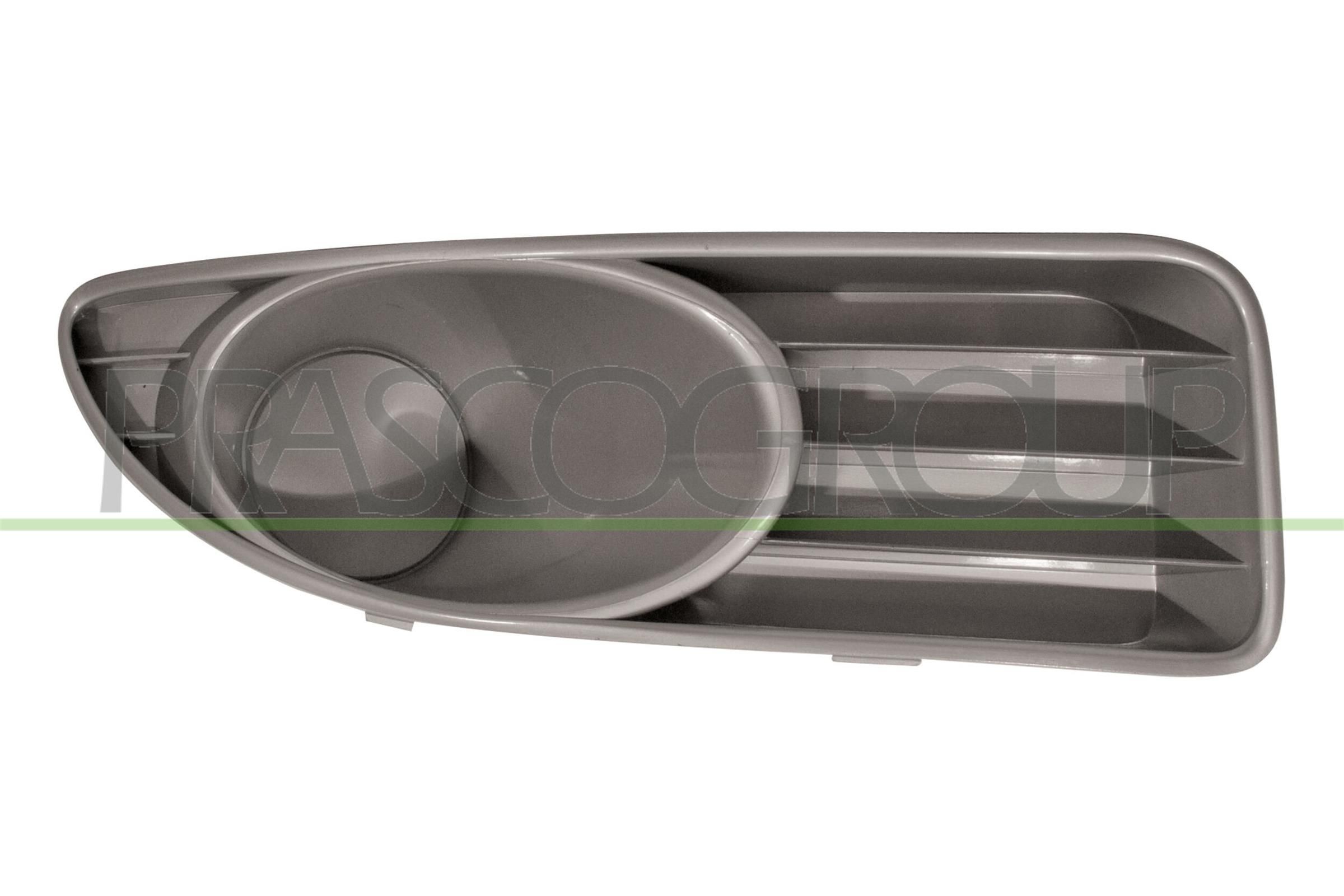 Πλέγμα εξαερισμού, προφυλακτήρας PRASCO FT4402133 PRASCO FT4402133: Πλέγμα προφυλακτήρα Fiat LINEA 2013