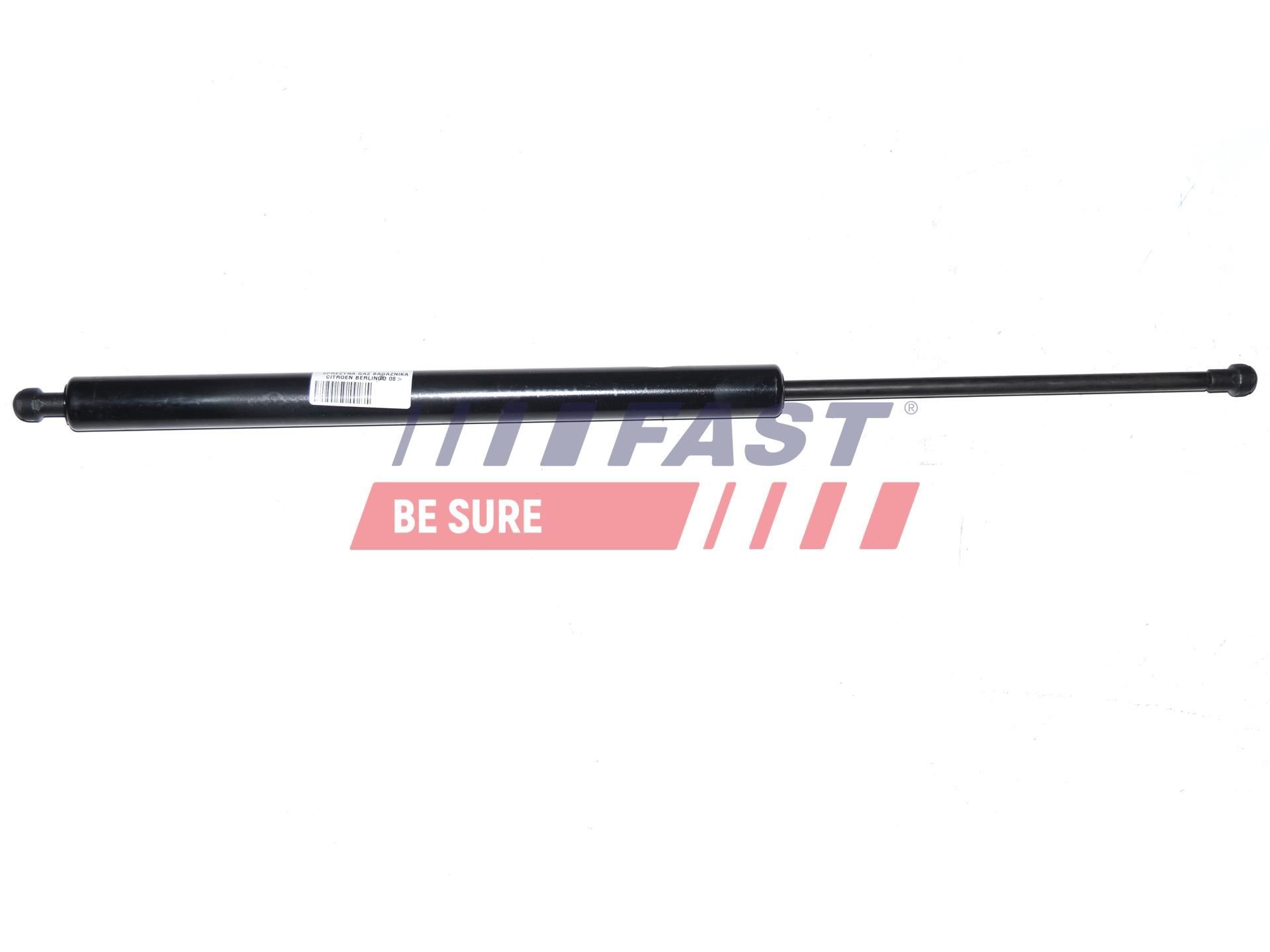 FAST Gasdemper, Achterruit FT94828 FT94828 Gasveer kofferbak RENAULT SCÉNIC FAST