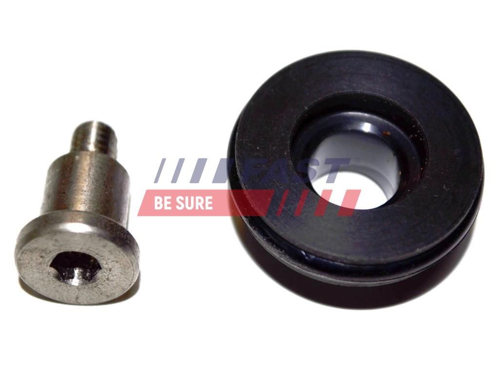 FAST Rollenführung, Schiebetür FT95543 FAST FT95543 Rollenführung, Schiebetür AUDI A3 Schrägheck (8V1, 8VK) 2.0 TFSI 190 PS 2017