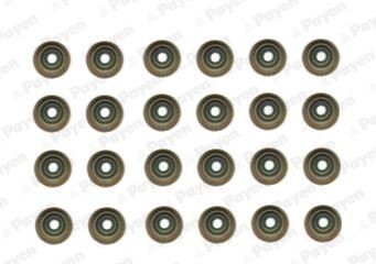 PAYEN Kit guarnizioni, Stelo valvola HR5121 HR5121 Paraoli guida valvole PAYEN Nissan