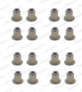 PAYEN Klepsealset HR5122 PAYEN HR5122 originele Klepseals LAND ROVER FREELANDER prijs