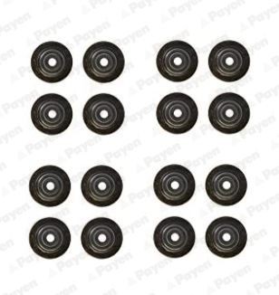 PAYEN Jogo de juntas, haste da válvula HR5125 PAYEN HR5125 Retentor da haste de válvula CHEVROLET Aveo / Kalos Sedan (T250, T255) baratos