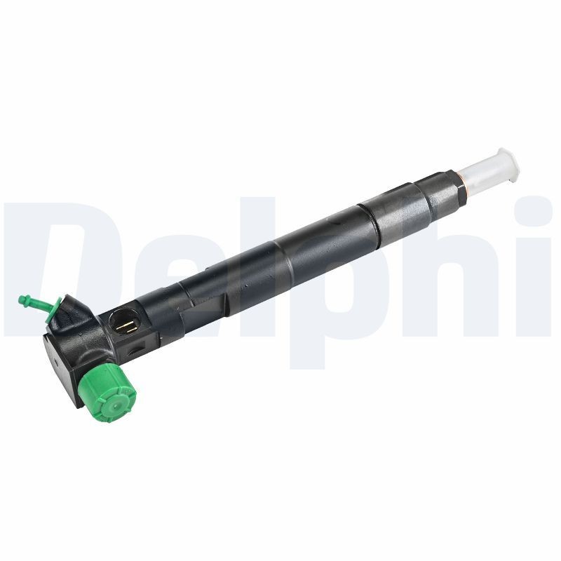 DELPHI Verstuiverhoudercombinatie HRD348 HRD348 Injector DELPHI BMW X6