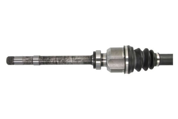 Cuffia sterzo PASCAL I6C007PC PASCAL I6C007PC Cuffia scatola sterzo Citroën C3 2011