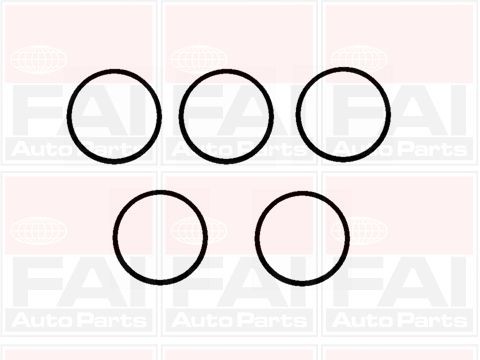 FAI AutoParts Tetningssett, innsugningsmanifold IM1130 Innsugspakning FAI AutoParts COMPASS IM1130 billige