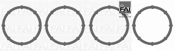 FAI AutoParts Packningssats, insugsgrenrör IM896K IM896K FAI AutoParts packning insugsgrenrör RENAULT SCÉNIC