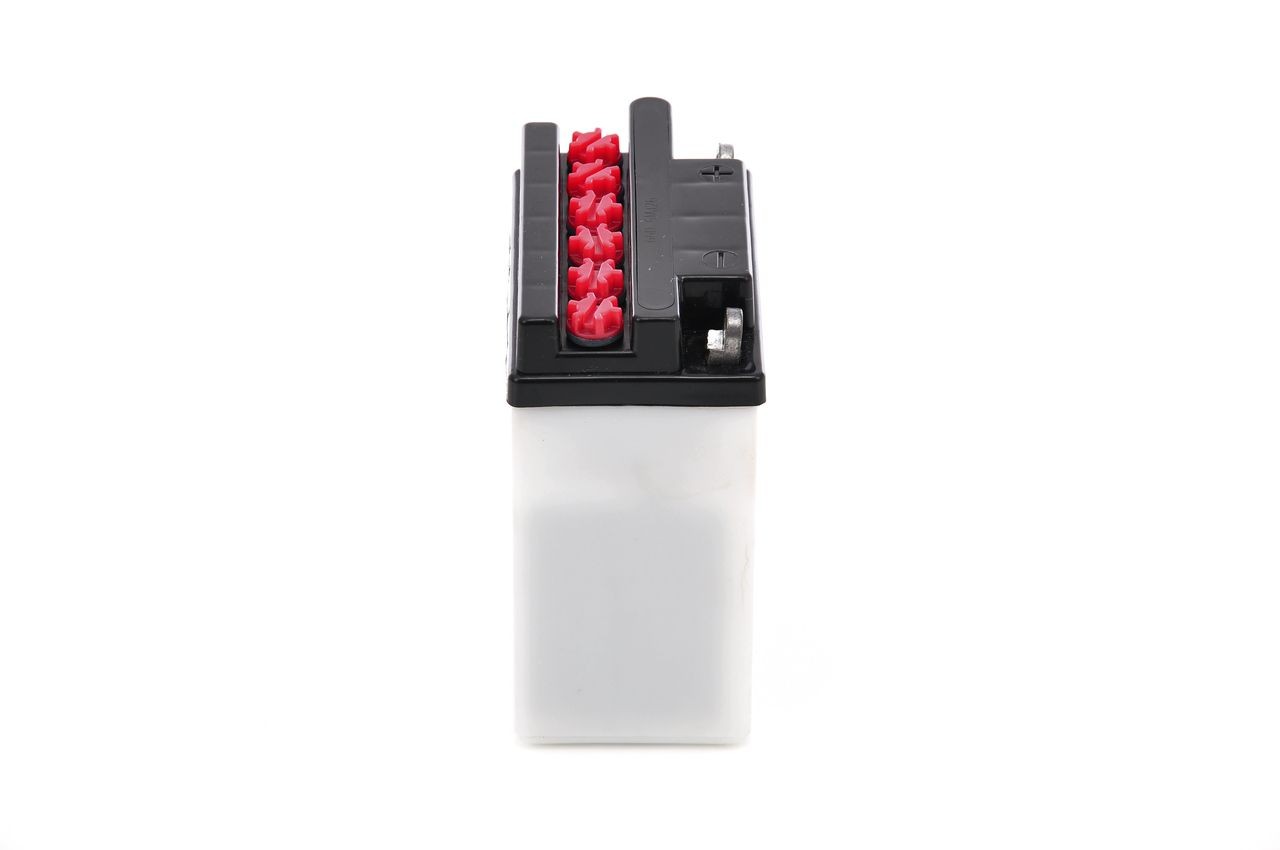BOSCH Sklo zadného svetla 0 319 303 253 Diely zadného svetla BOSCH A8 0 319 303 253 lacné
