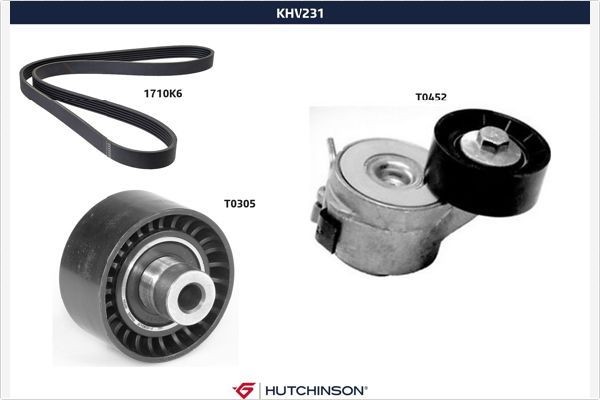 HUTCHINSON Poly V-riem set KHV 231 KHV 231 Multiriem set HUTCHINSON CITROЁN BX