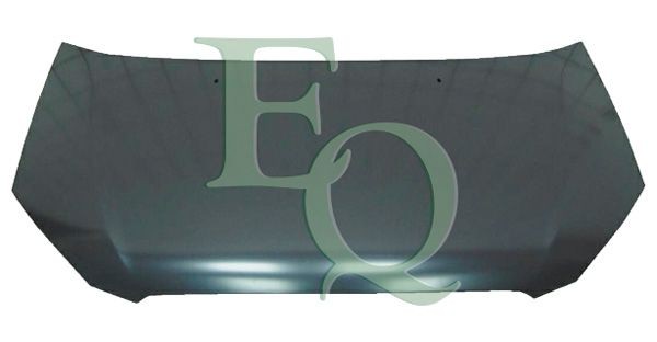 Capot EQUAL QUALITY L03108 EQUAL QUALITY L03108: Capot-moteur Hyundai GETZ 2009