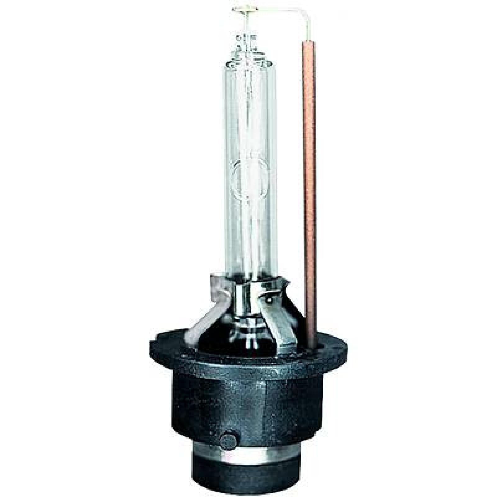 DIEDERICHS Xenon-lamp LID10204 Nissan TERRANO Dimlicht lamp DIEDERICHS LID10204