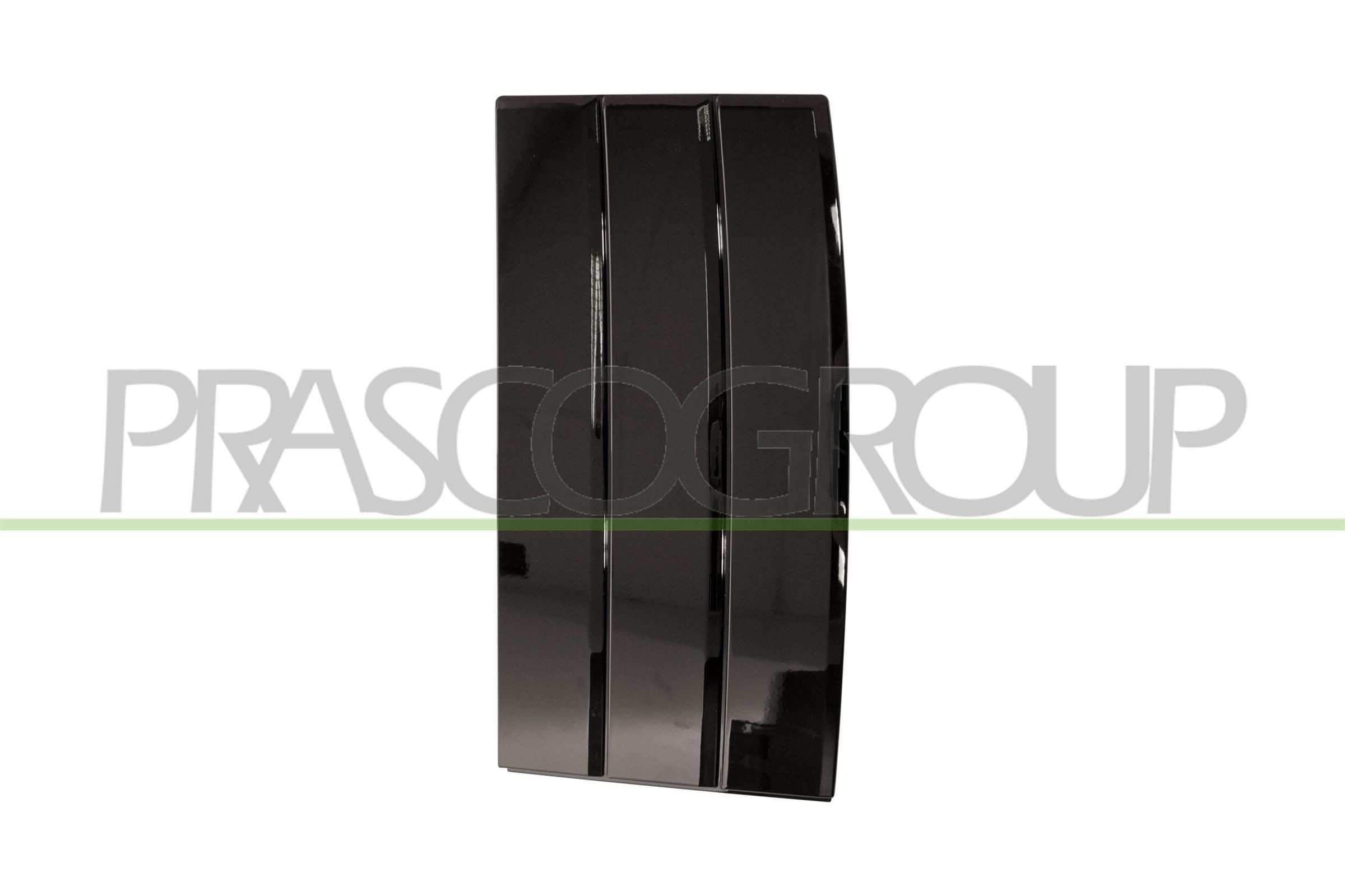 PRASCO Modanatura decorativa / protettiva, Portiera LR8661413 PRASCO LR8661413 Modanatura Chevy CORVETTE costo