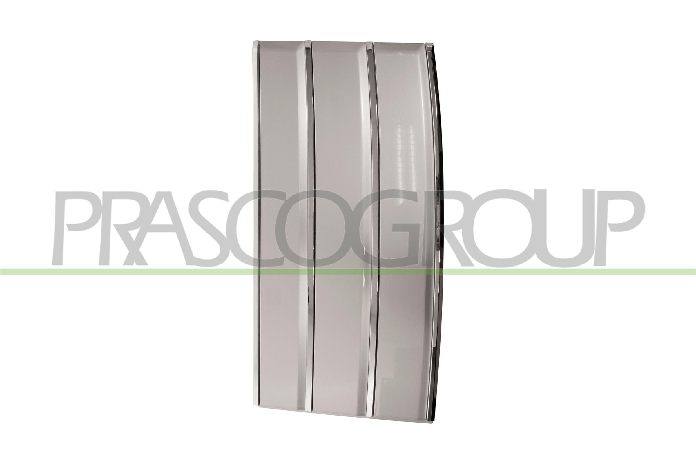 PRASCO Modanatura decorativa / protettiva, Portiera LR8661423 PRASCO LR8661423 costo Modanatura CHEVROLET CORVETTE