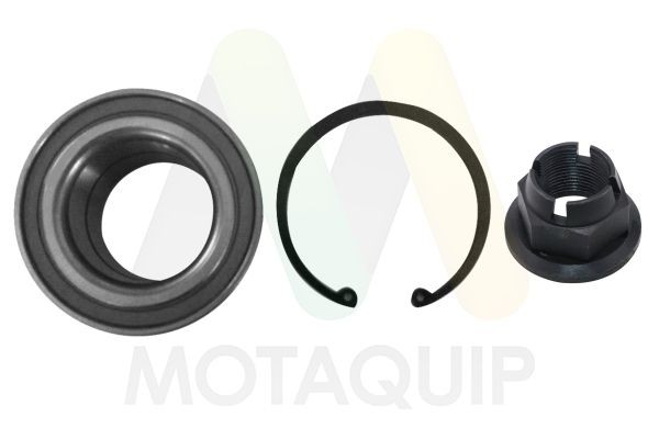 MOTAQUIP Σετ ρουλεμάν τροχών LVBW1176 Πλήμνη τροχού MOTAQUIP JUKE LVBW1176 φθηνά