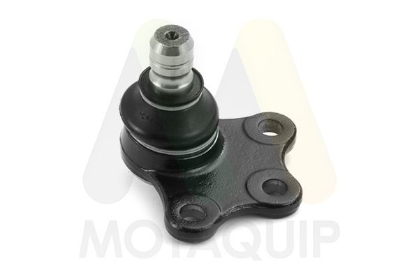 MOTAQUIP Fuseekogel LVSJ1183 Fuseekogel CITROËN MOTAQUIP LVSJ1183