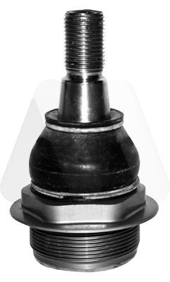 MOTAQUIP Testina braccio oscillante LVSJ1200 LVSJ1200 costo Testina braccio oscillante RENAULT Symbol MOTAQUIP