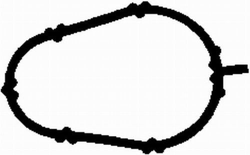 BGA Tetning, innsugningsmanifold MG0507 Innsugsmanifold pakning BGA Fiat TIPO MG0507