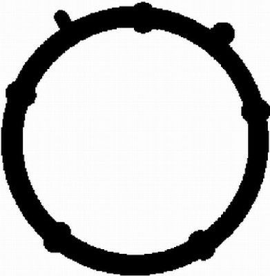 BGA Pakning, indsugningsmanifold MG2531 Indsugningsmanifold pakning BGA Fiat SEICENTO MG2531