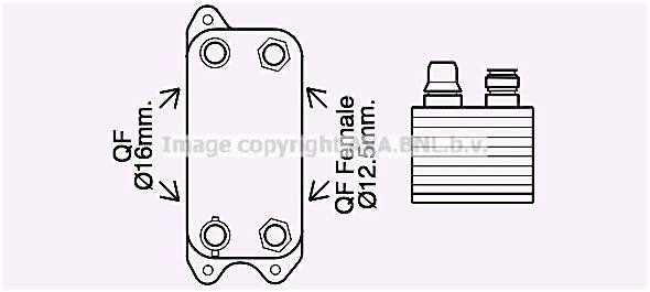PRASCO Radiador de óleo, caixa de velocidades automática MS3686 MS3686 Radiador de óleo de caixa automática HYUNDAI GALLOPER PRASCO