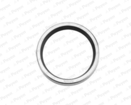 PAYEN Pakking, thermostaat NA5357 Mercedes-Benz M-Klasse Koelwaterpakking PAYEN NA5357