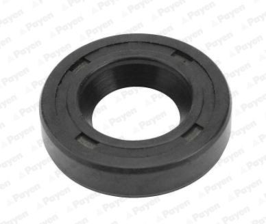 PAYEN Pakking, inspuitpomp NA5358 PAYEN NA5358 originele Pakking, inspuitpomp V60 II (225, 227) kosten